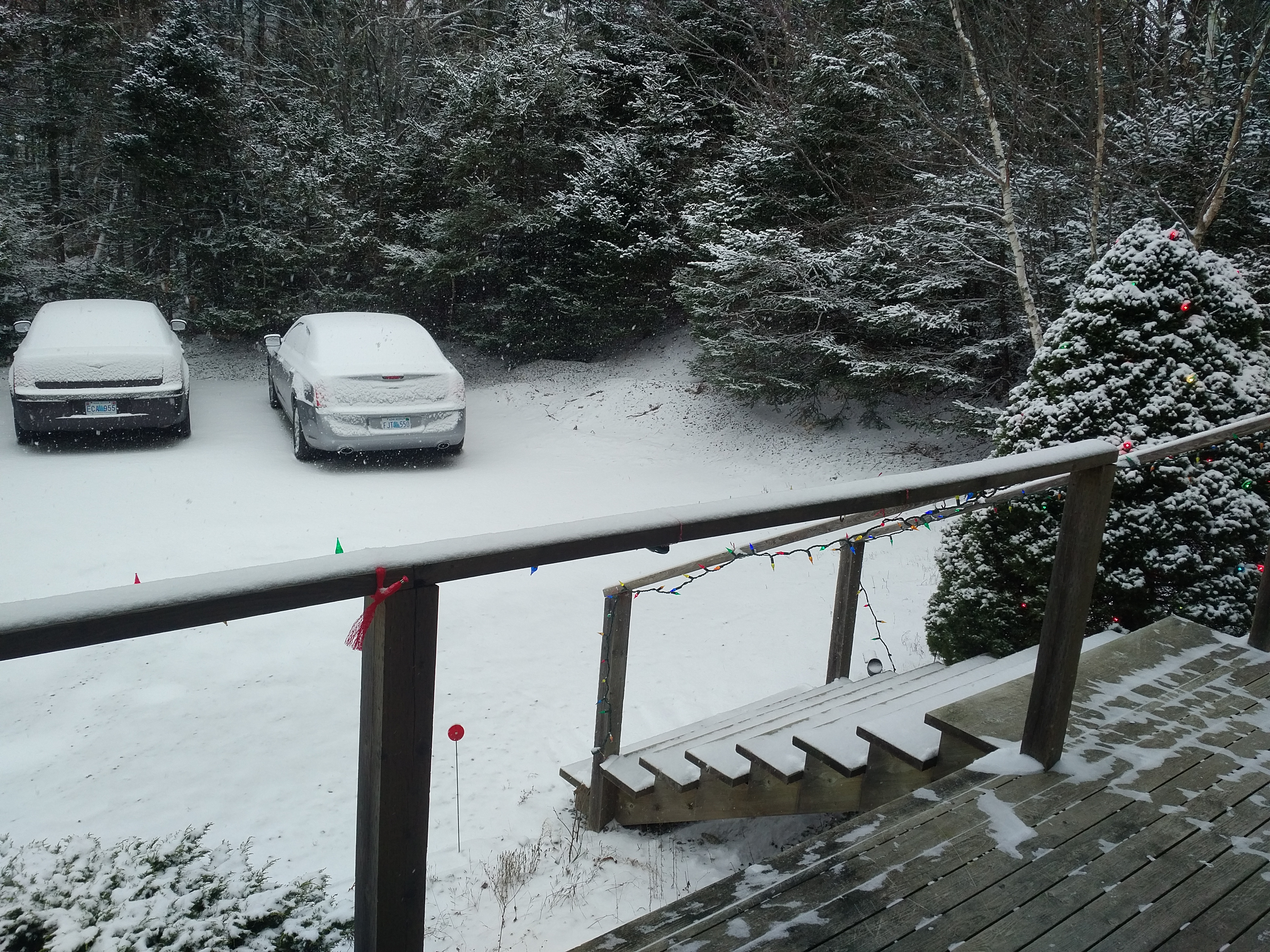 IMG_20171216_1017586