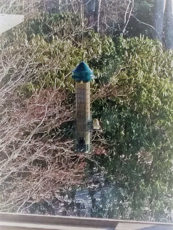 IMG_20171217_1426125 - cropped