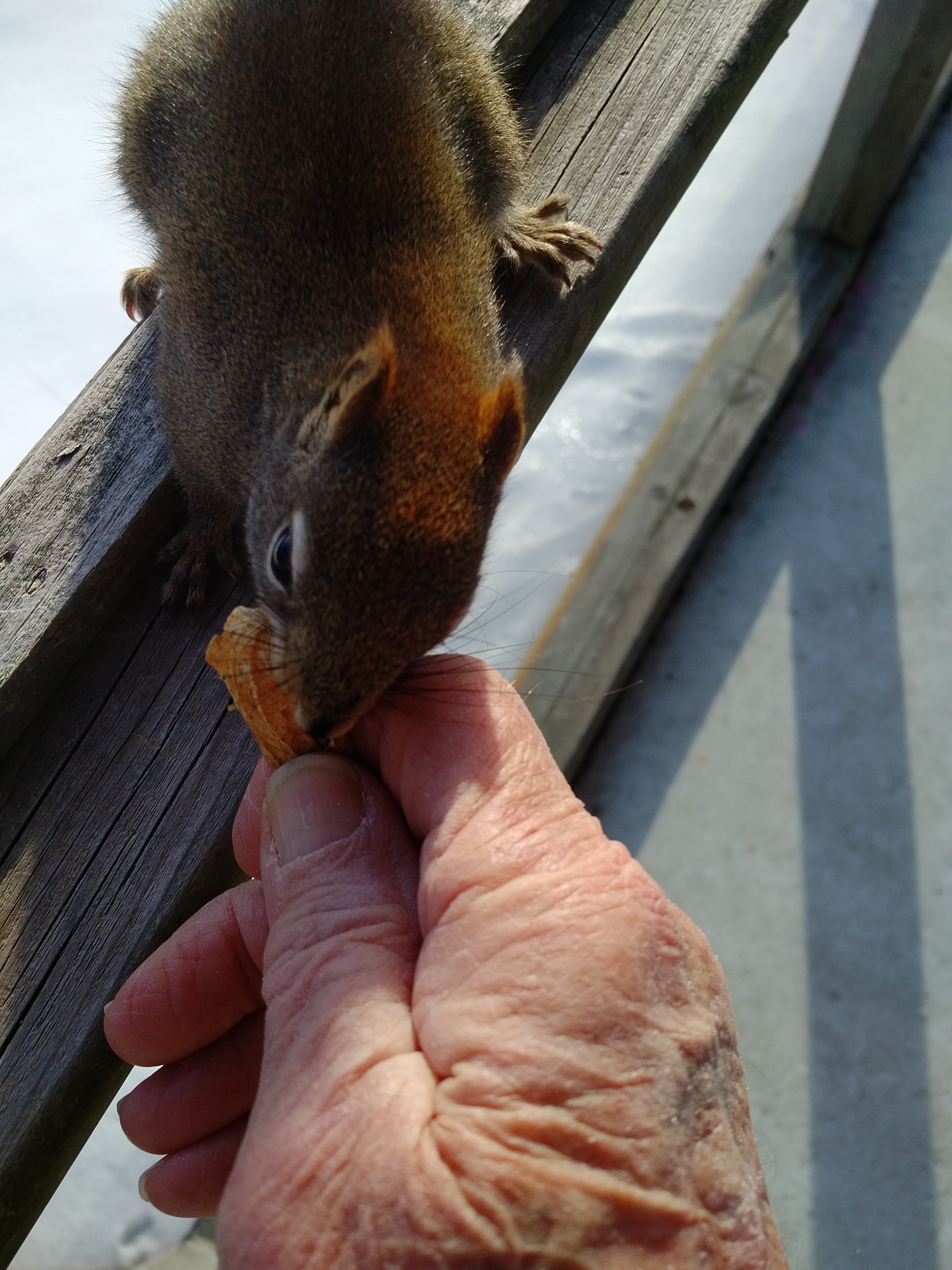 IMG_20180121_1517442